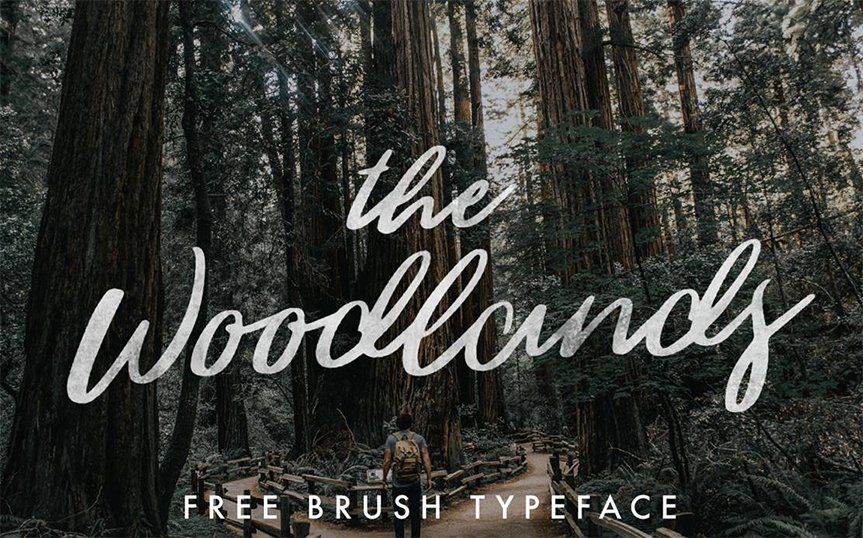 the-woodlands