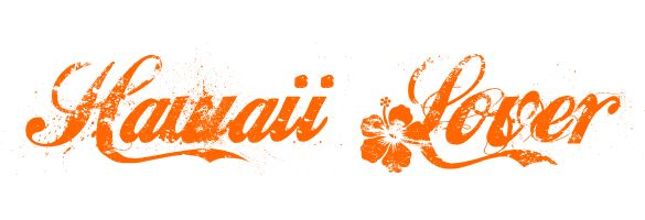 Hawaii Lover