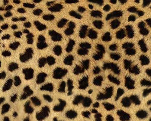 Photoshop pattern
