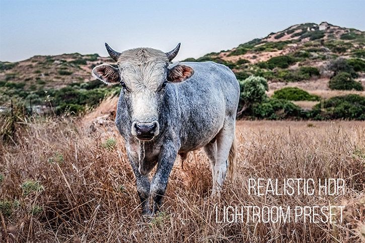 Realistic HDR Lightroom Preset
