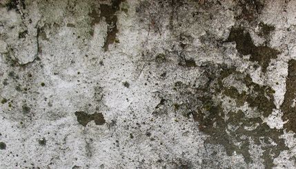 Grunge Texture