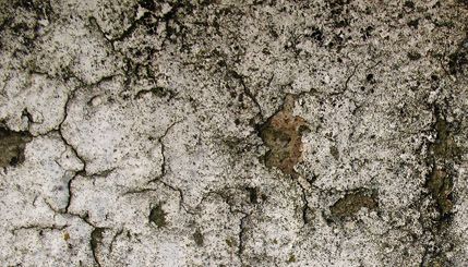 Grunge Texture