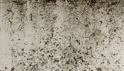 Grunge Texture