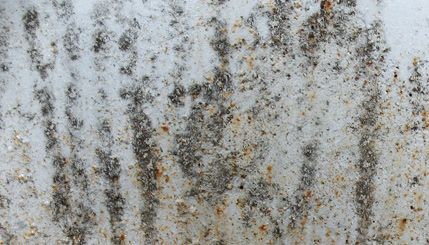 Grunge Texture
