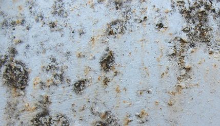Grunge Texture