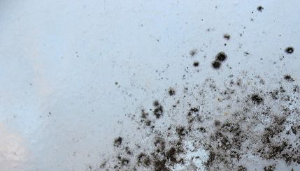 Grunge Texture