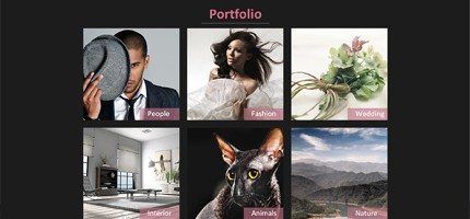 plantilla3